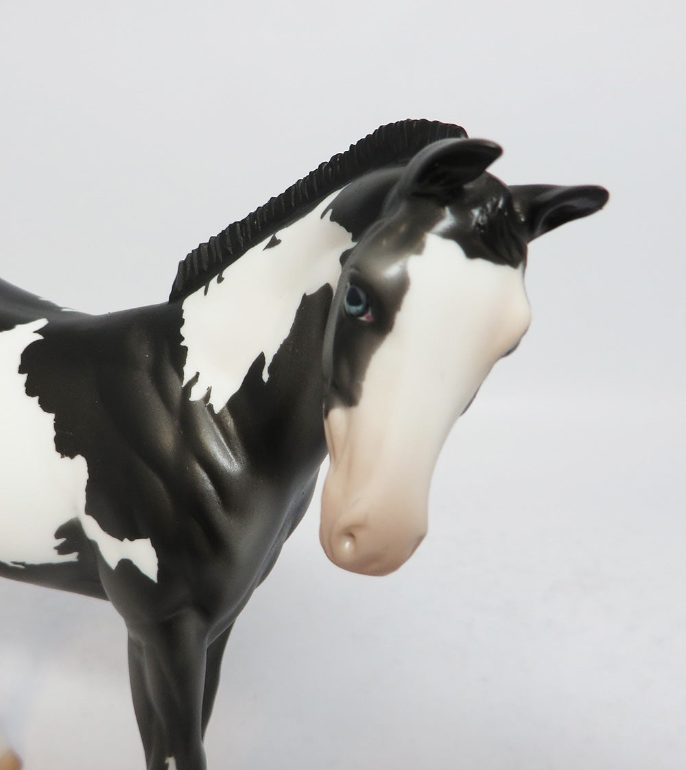 DARK CLOUD-OOAK PINTO WEANLING MODEL HORSE BY DAWN QUICK 12/12/17