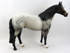 bay roan