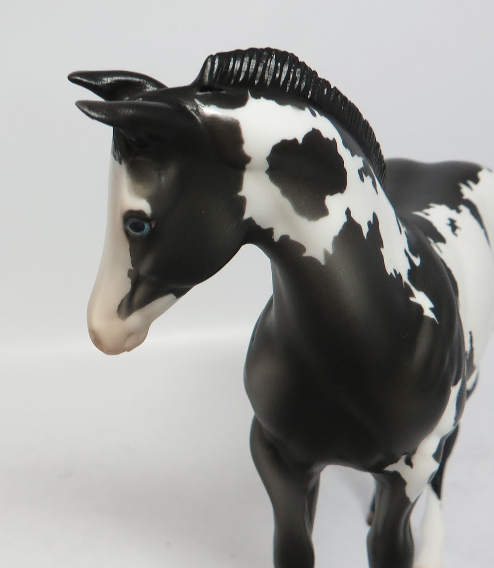 DARK CLOUD-OOAK PINTO WEANLING MODEL HORSE BY DAWN QUICK 12/12/17