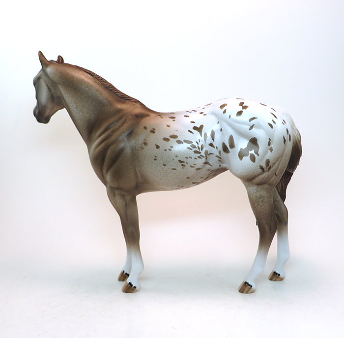 Appaloosa 