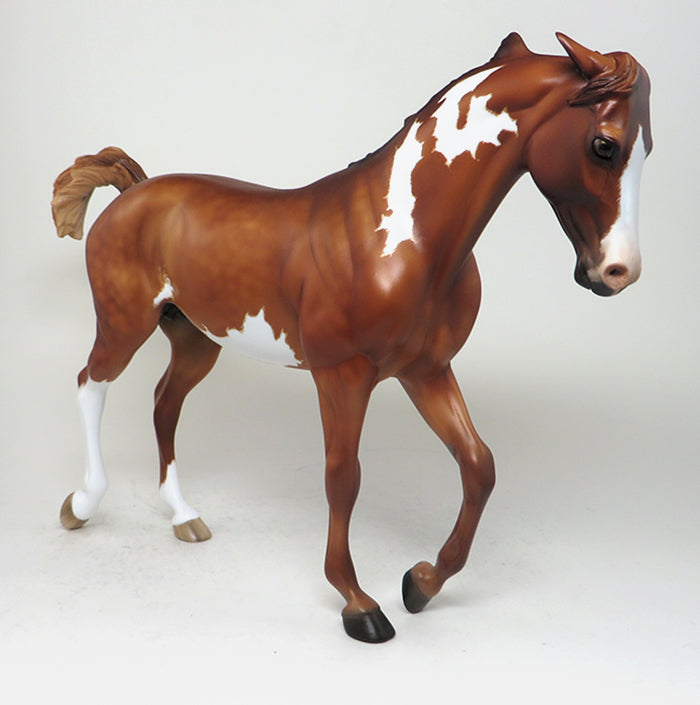 PINNED EAR THOROUGHBRED