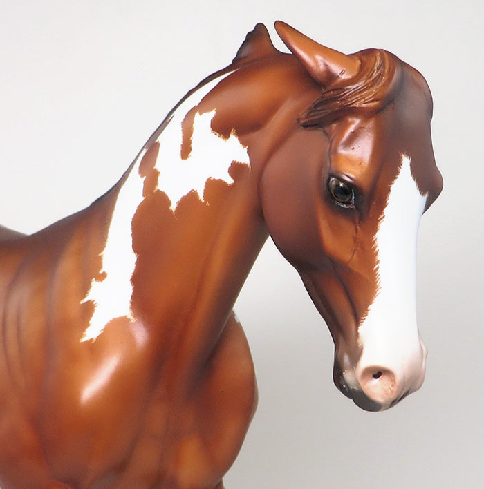 SHERYL LEISURE Horse