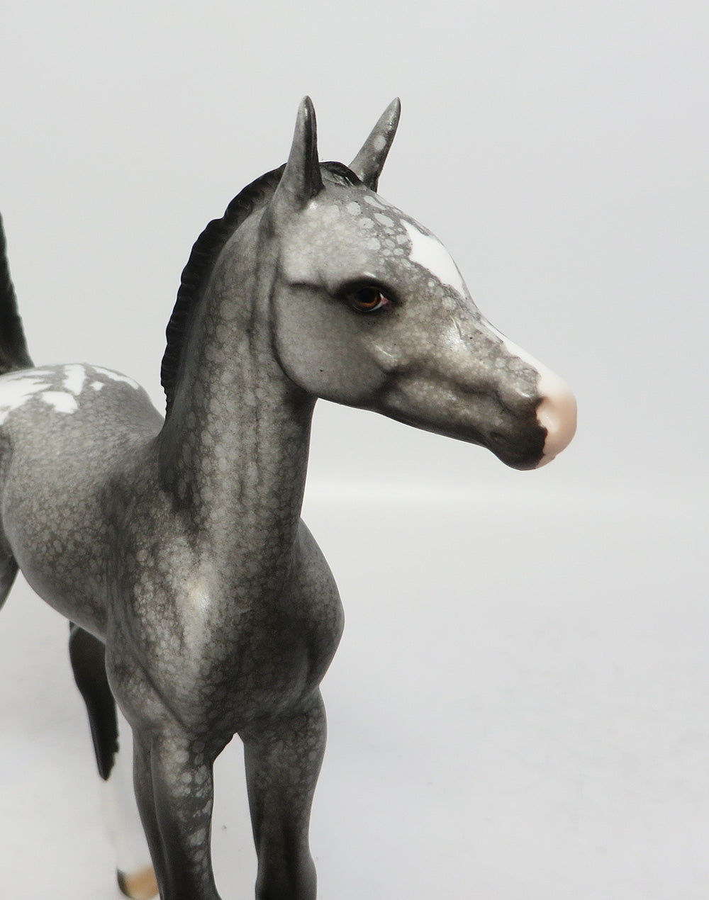 GREY BLIZZARD~OOAK APPALOOSA FOAL MODEL HORSE BY DAWN QUICK 12/12/17