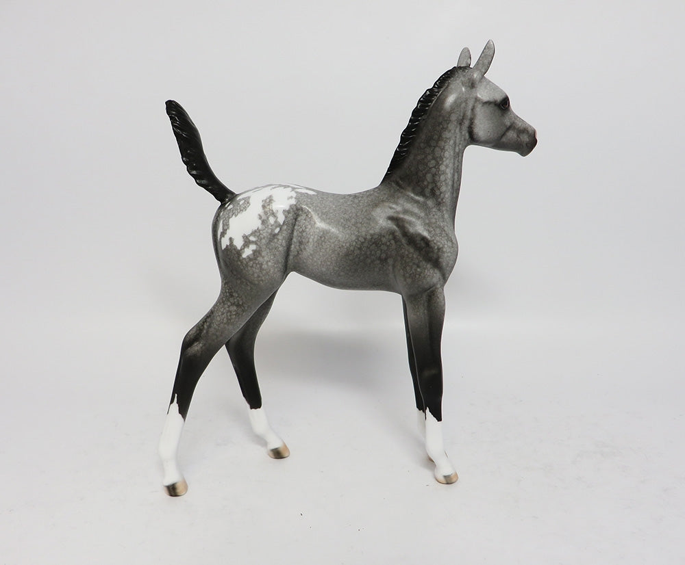 GREY BLIZZARD~OOAK APPALOOSA FOAL MODEL HORSE BY DAWN QUICK 12/12/17