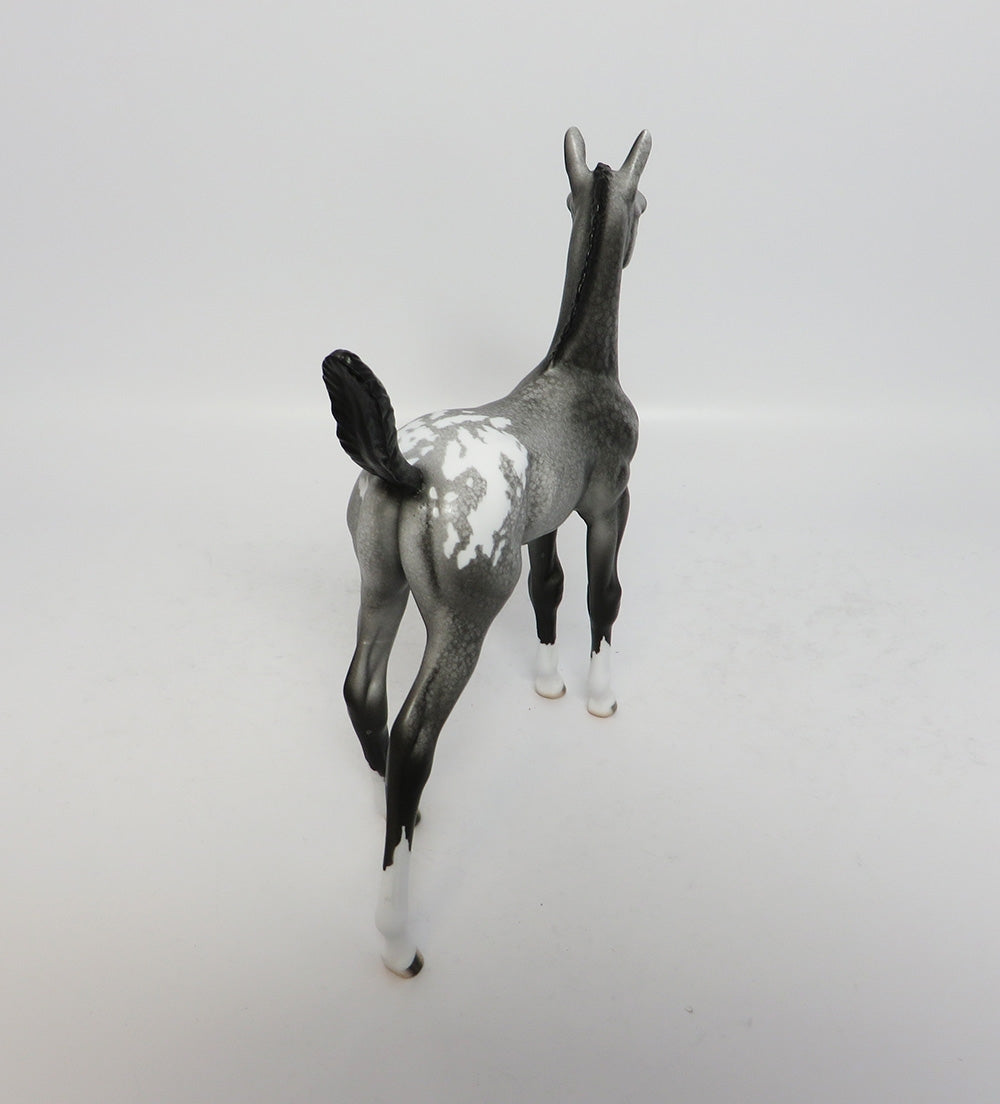 GREY BLIZZARD~OOAK APPALOOSA FOAL MODEL HORSE BY DAWN QUICK 12/12/17