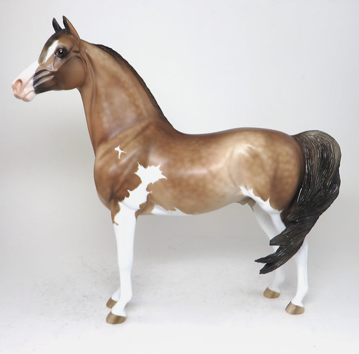 Morgan buckskin paint model horse