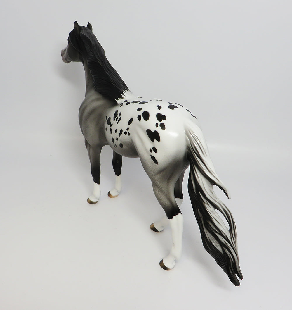 Appaloosa