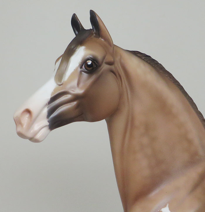 DONEGAL - OOAK Buckskin Etched Paint Morgan Model Horse - 12/3