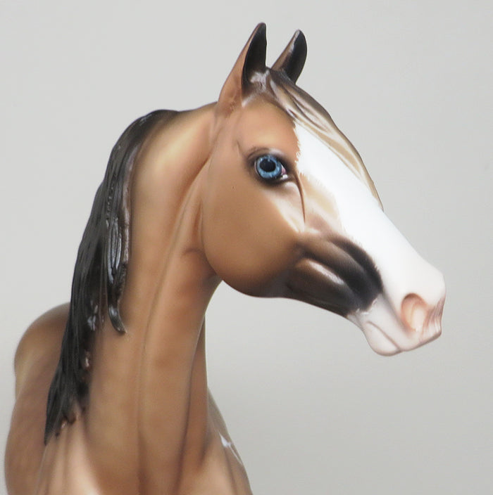 DONEGAL - OOAK Buckskin Etched Paint Morgan Model Horse - 12/3
