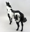 black overo