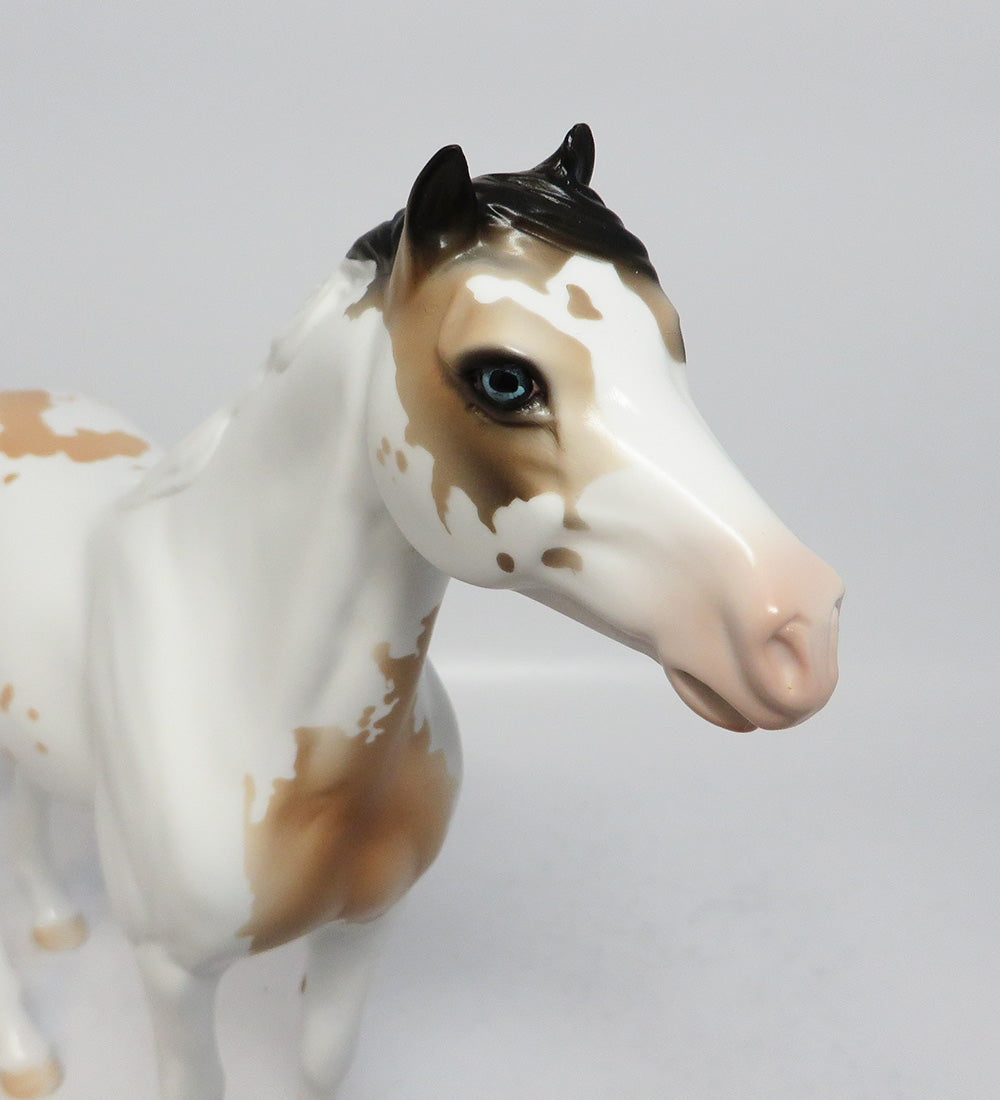 LITTLE BIRD-LE-6 CUSTOM MUSTANG PALOMINO PAINT WHS 2017