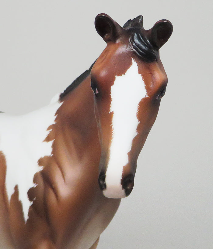 TICKLE MY FANCY-OOAK-ETCHED BAY PAINT WEANLING MODEL HORSE 12/10