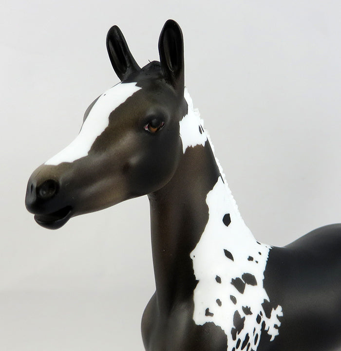 TIMBER-LE-3 SEAL BAY PAINT FOAL MODEL HORSE 12/28
