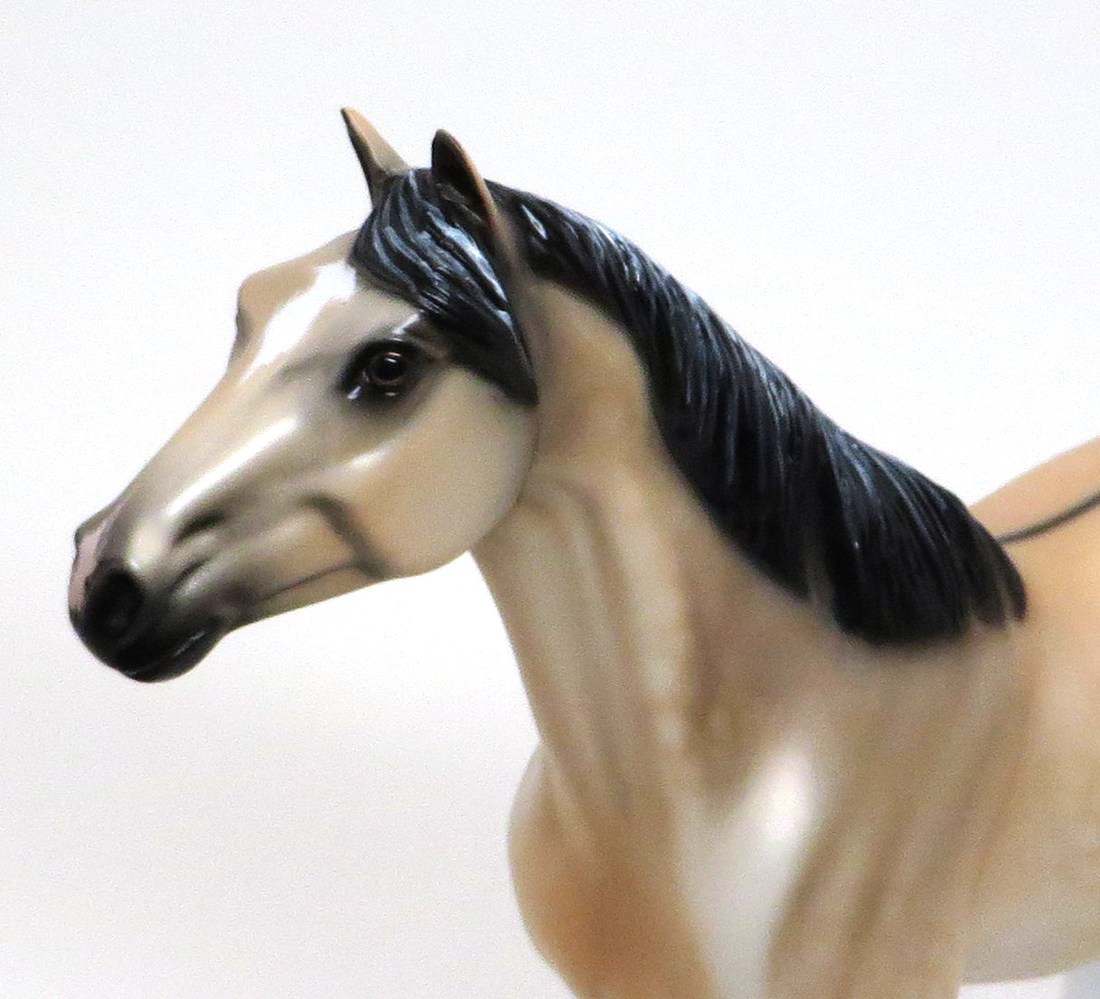 SMART CHICS KICK -BUCKSKIN PAINT MUSTANG -OOAK- 9/24