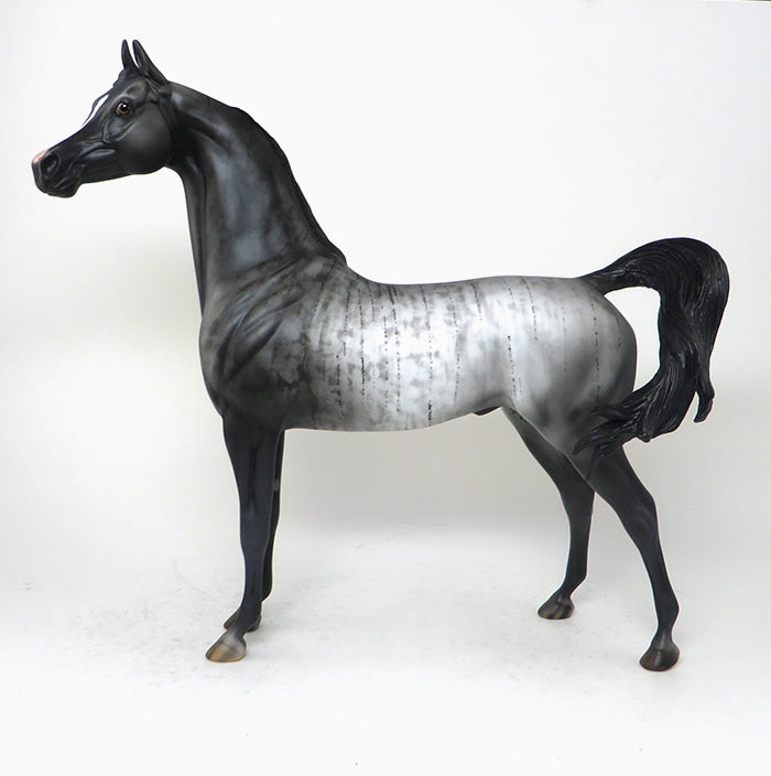 BLACK CLOUD-OOAK-BRIDLE ARABAIN MODEL HORSE 12/10