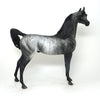 brindle arabian
