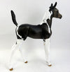 TIMBER-LE-3 SEAL BAY PAINT FOAL MODEL HORSE 12/28