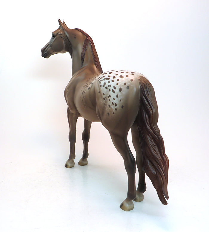TAKING OVER - OOAK  CHESTNUT APPALOOSA MORGAN MODEL HORSE - 2/5