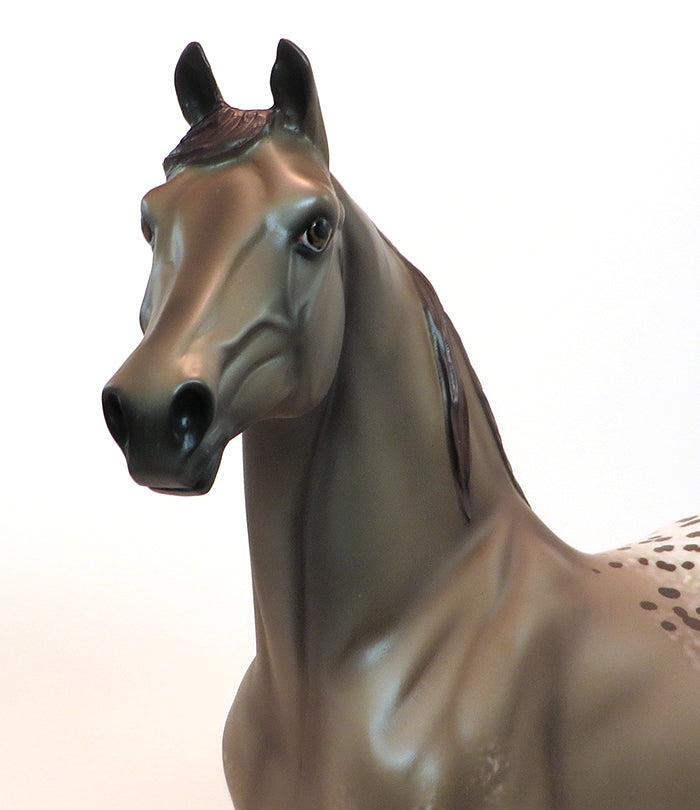 TAKING OVER - OOAK  CHESTNUT APPALOOSA MORGAN MODEL HORSE - 2/5