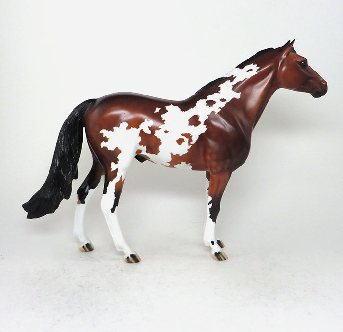 spanish mustang horse one of a kind