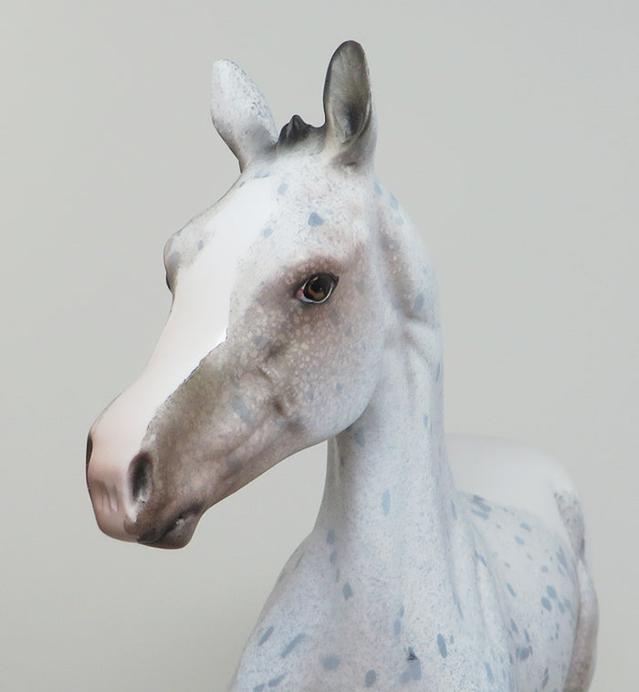 SNOW PRINCESS - OOAK APPALOOSA YEARLING MODEL HORSE by DAWN QUICK - 1/28