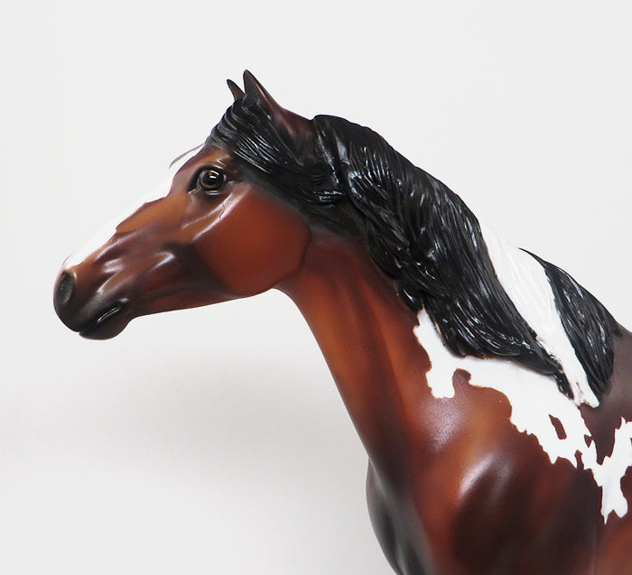 LEATHER BLUE TOOTH-OOAK-SPANISH MUSTANG BAY PAINT MODEL HORSE 12/10