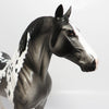 BORROWED TIME~OOAK DAPPLE GREY PINTO STANDING DRAFTER BY DAWN QUICK 6/2/17