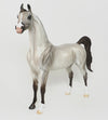 CHOCOLATE ROAN APPALOOSA
