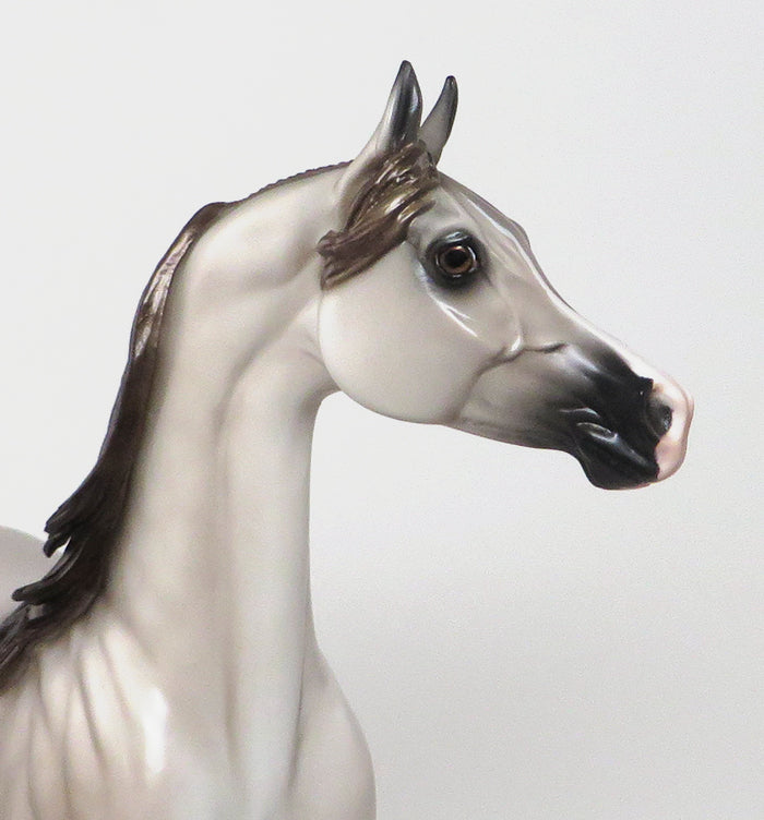 OOAK APPALOOSA 