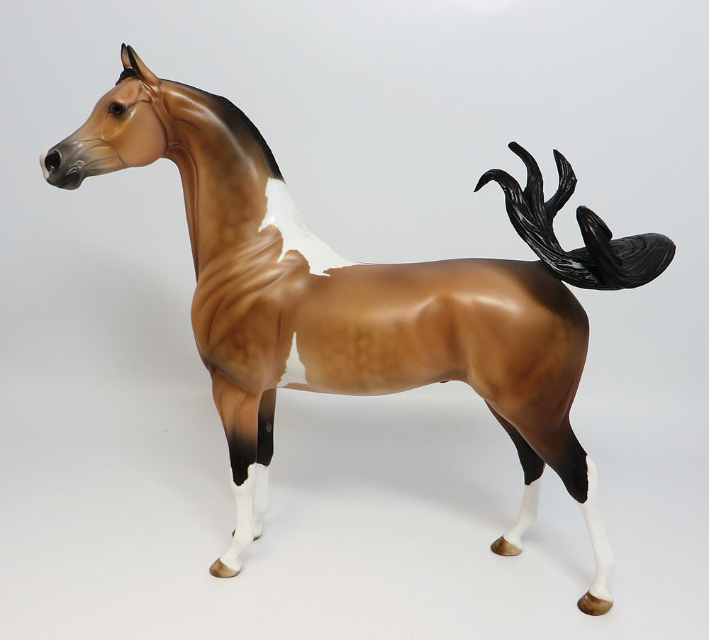 TAHOE-LE.5 DAPPLE PINTO BUCKSKIN ARABIAN MODEL HORSE EQ 2017