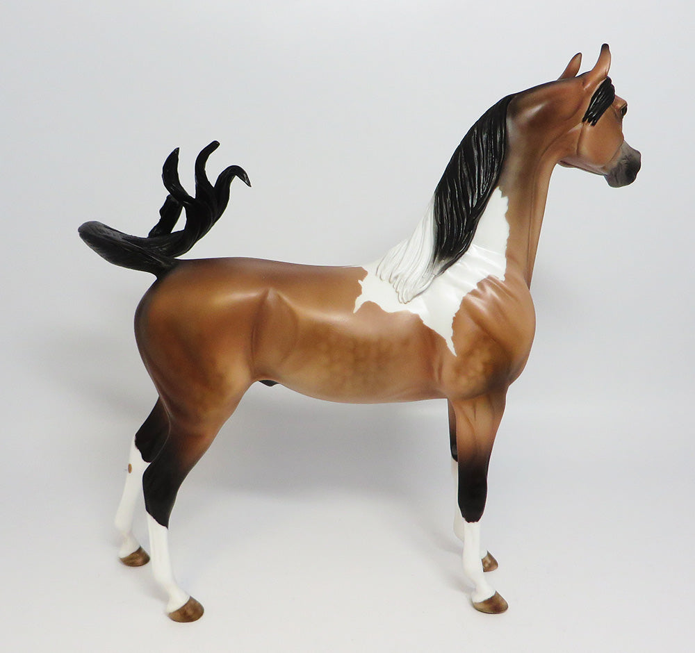 TAHOE-LE.5 DAPPLE PINTO BUCKSKIN ARABIAN MODEL HORSE EQ 2017