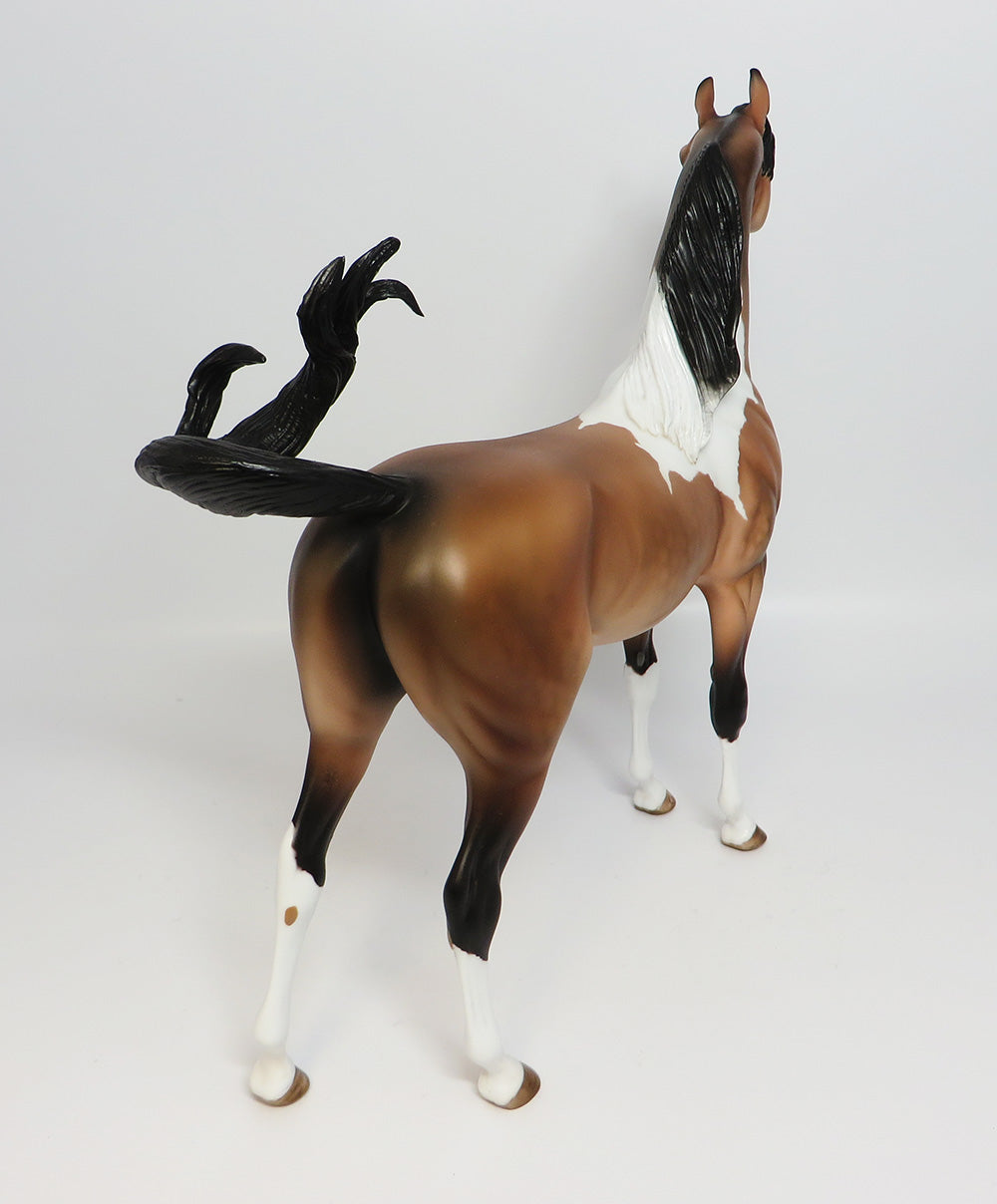 TAHOE-LE.5 DAPPLE PINTO BUCKSKIN ARABIAN MODEL HORSE EQ 2017