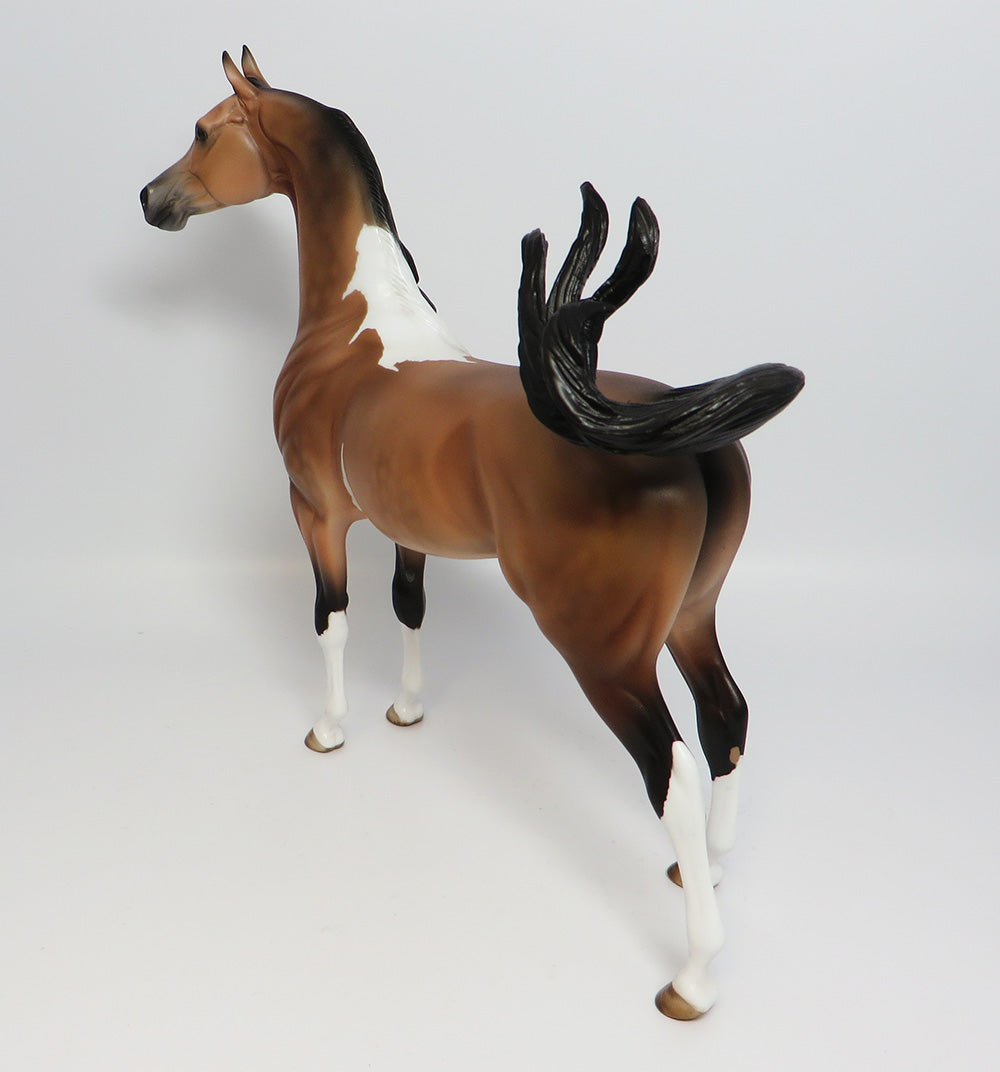 TAHOE-LE.5 DAPPLE PINTO BUCKSKIN ARABIAN MODEL HORSE EQ 2017