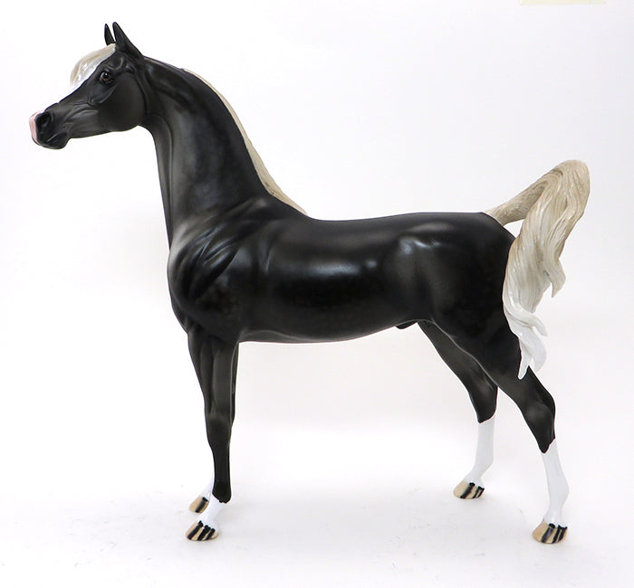 CLINT BLACK - OOAK DARK DAPPLE GREY ARABIAN - 10/9