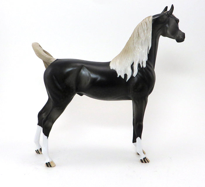 CLINT BLACK - OOAK DARK DAPPLE GREY ARABIAN - 10/9