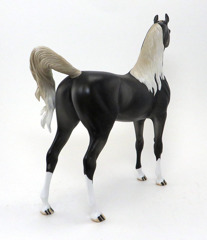 CLINT BLACK - OOAK DARK DAPPLE GREY ARABIAN - 10/9