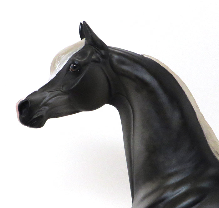CLINT BLACK - OOAK DARK DAPPLE GREY ARABIAN - 10/9
