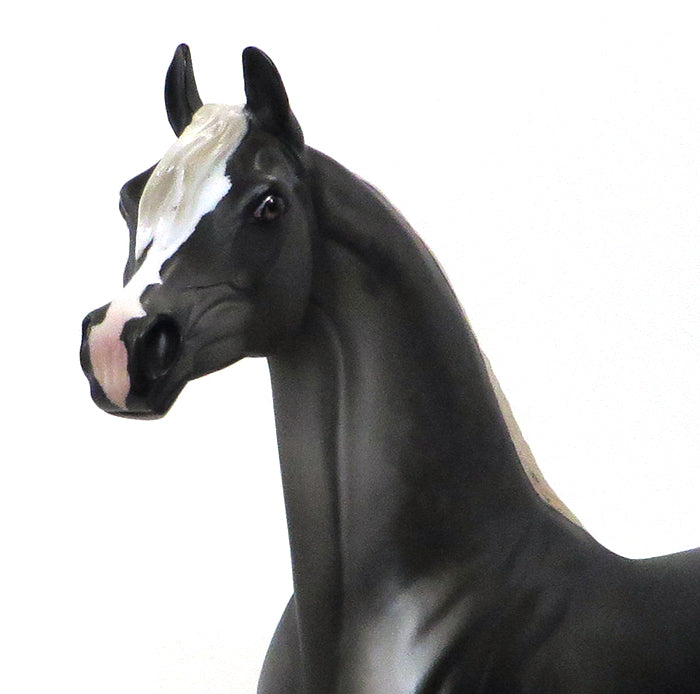 CLINT BLACK - OOAK DARK DAPPLE GREY ARABIAN - 10/9