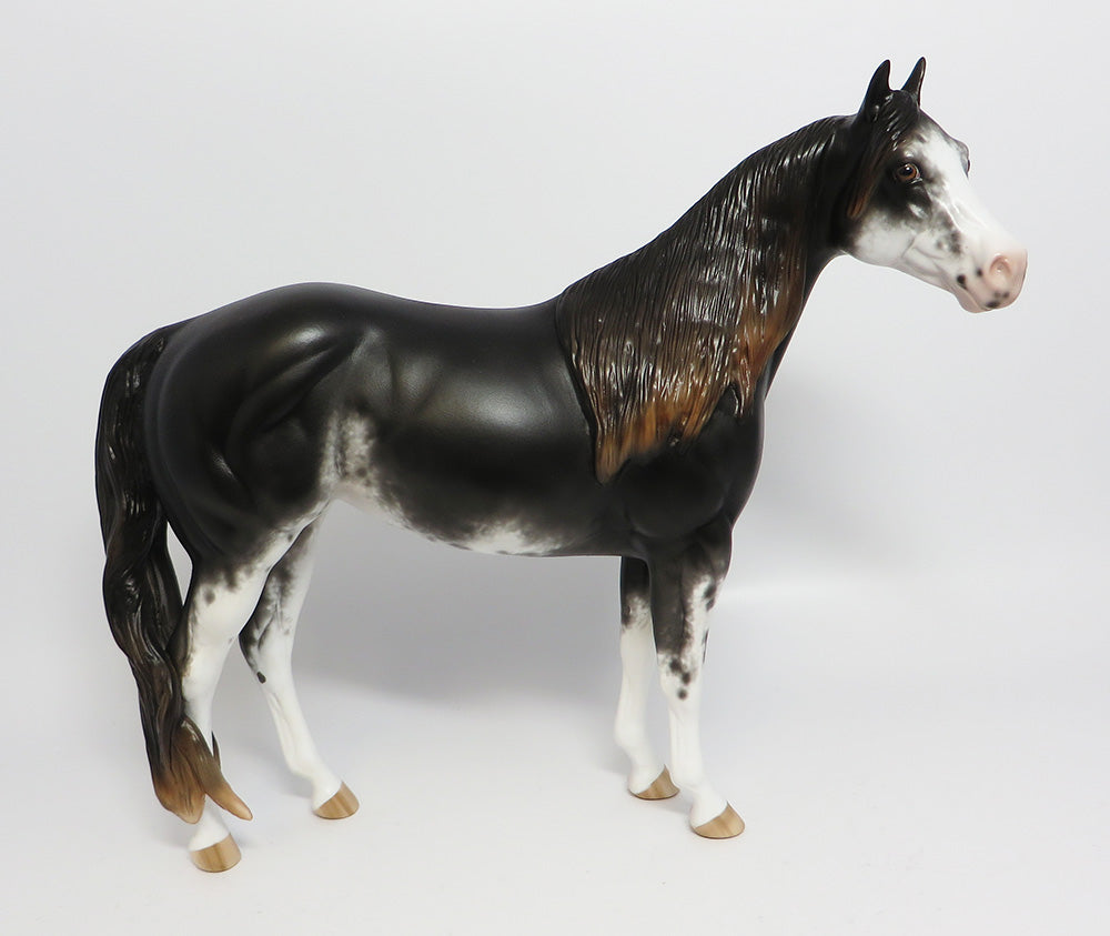 MCGRAW~OOAK BLACK SABINO ISH MODEL HORSE BY SHERYL LEISURE 6/2/17