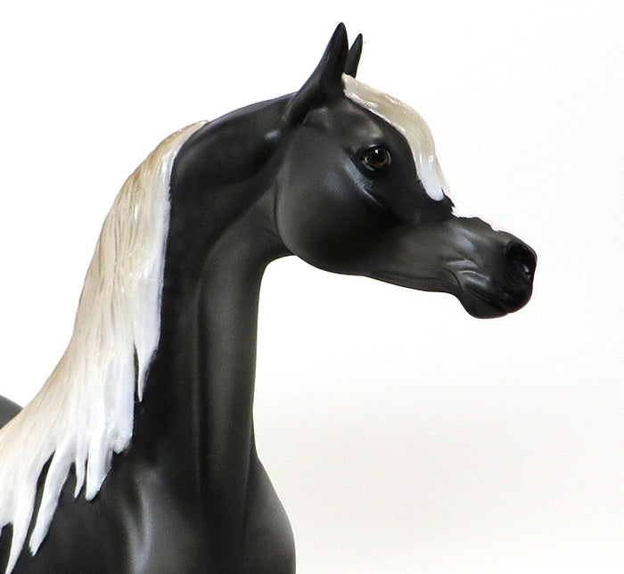 CLINT BLACK - OOAK DARK DAPPLE GREY ARABIAN - 10/9