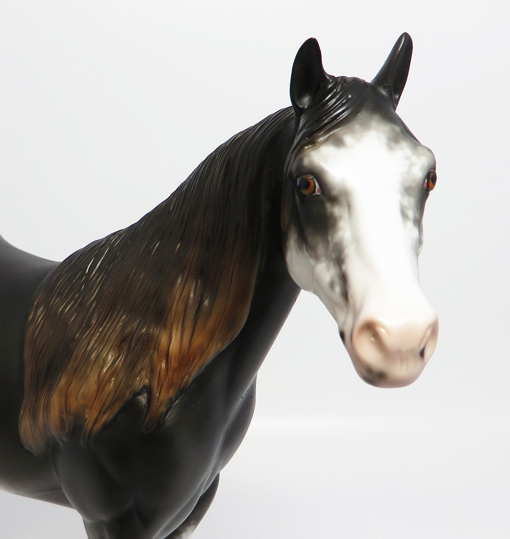 MCGRAW~OOAK BLACK SABINO ISH MODEL HORSE BY SHERYL LEISURE 6/2/17