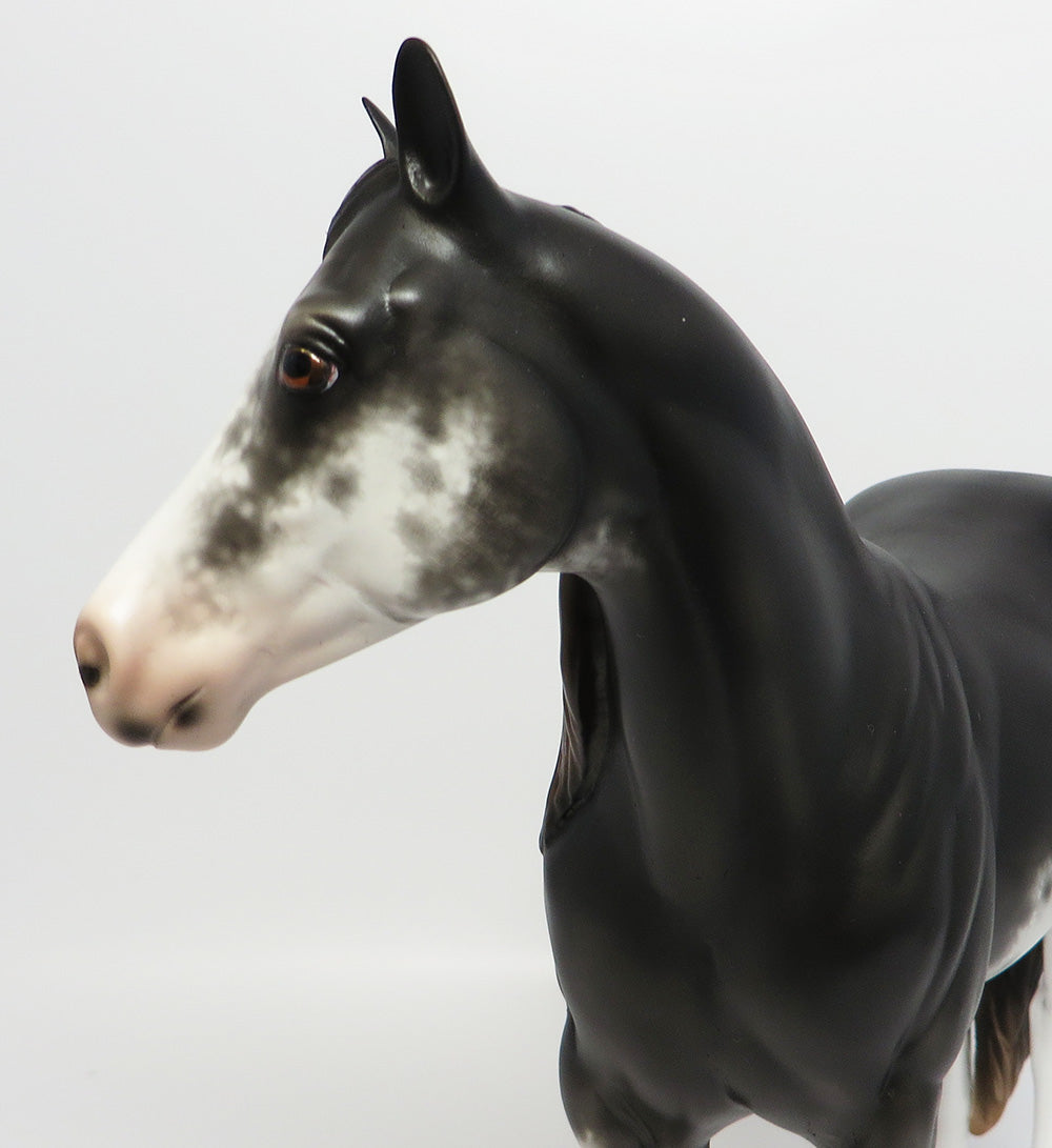 MCGRAW~OOAK BLACK SABINO ISH MODEL HORSE BY SHERYL LEISURE 6/2/17