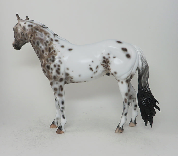 OOAK BAY APPALOOSA