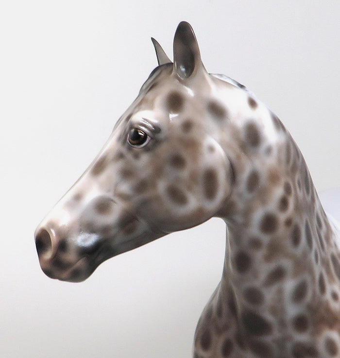 APPALOOSA MODEL HORSE 