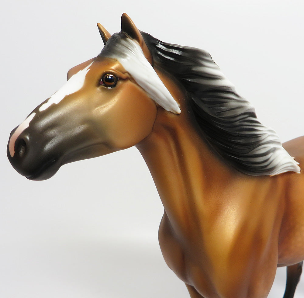 TIN MAN~OOAK DAPPLE FROSTED BUCKSKIN SPANISH MUSTANG 6/2/17