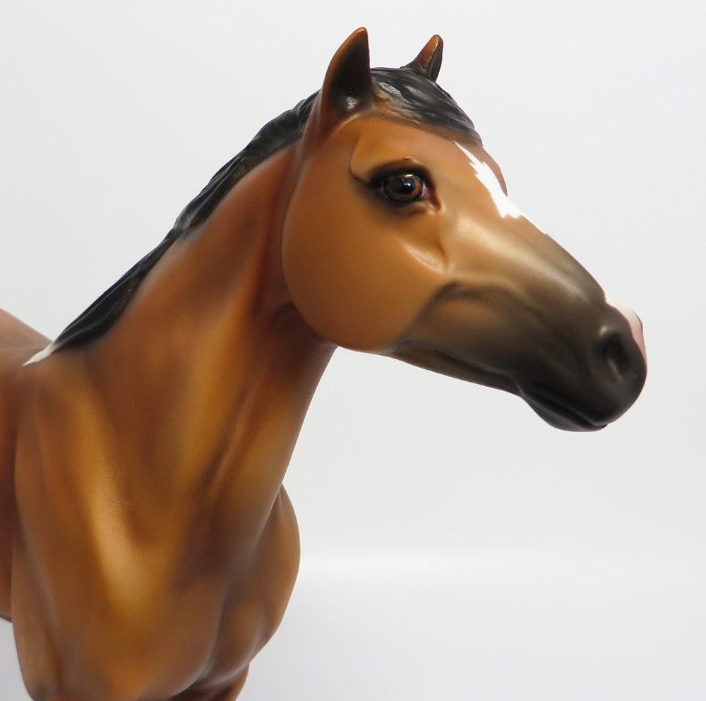 TIN MAN~OOAK DAPPLE FROSTED BUCKSKIN SPANISH MUSTANG 6/2/17