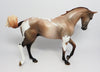 Thoroughbred