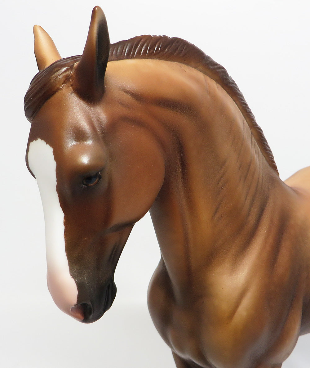 SPICED RUM~OOAK DAPPLE LIVER CHESTNUT ANDALUSIAN MODEL 6/2/17