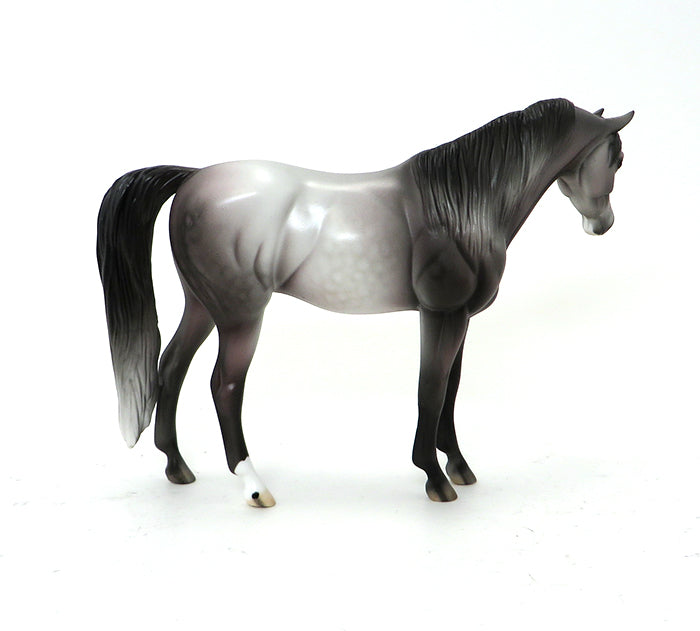 DAPPLE ROSE GREY ARABIAN