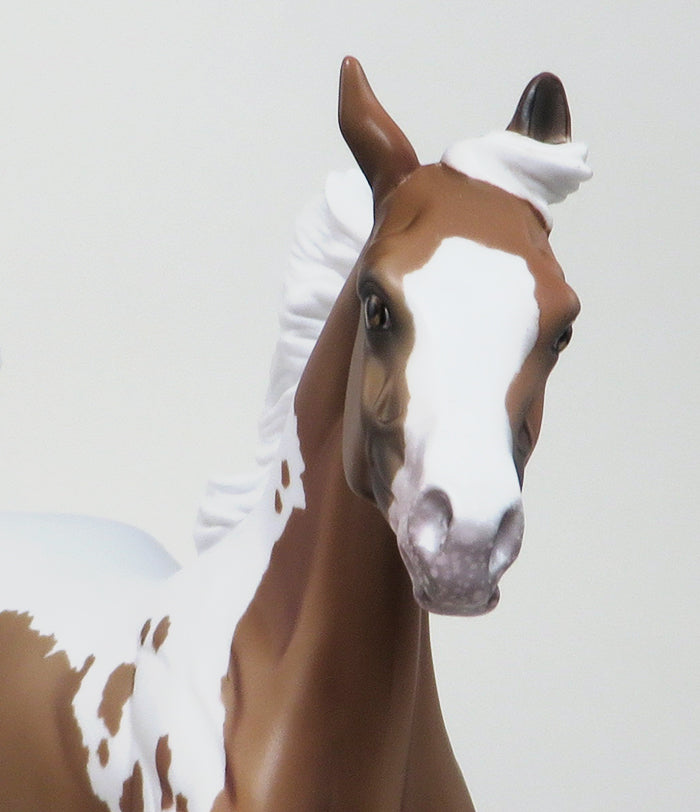 RIVER DANCE - OOAK -CHESTNUT PAINT YEARLING MODEL HORSE 12/10